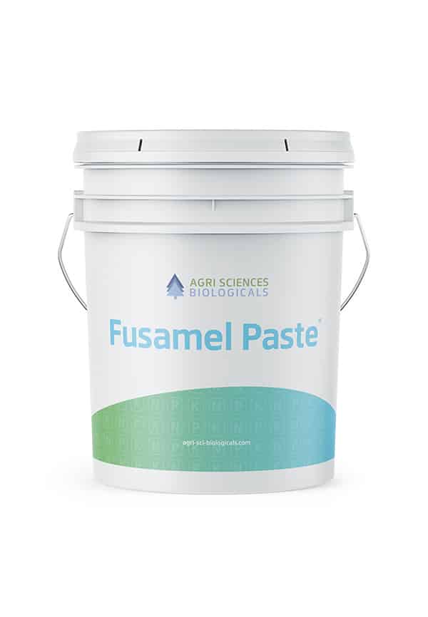 Fusamel paste