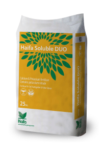 Haifa DUO
