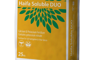 Haifa DUO