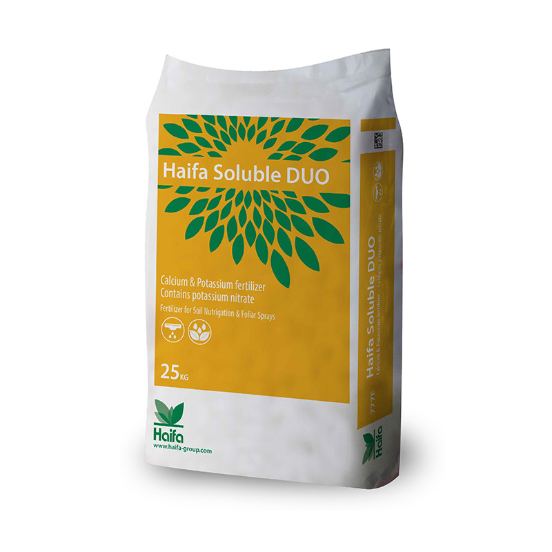 Soluble DUO