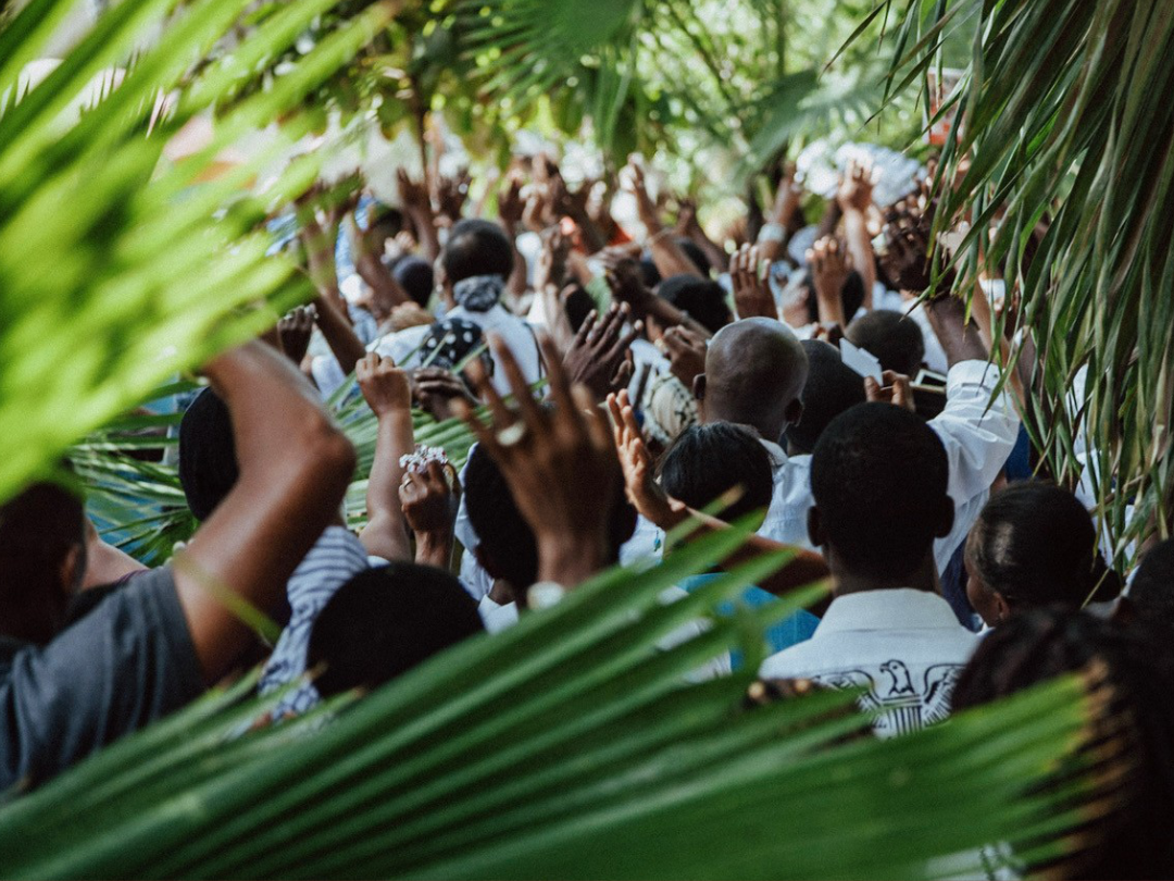 raise hands and palm fronds Focusing through palmfronds in the foreground to a group of men facing away with their hands up