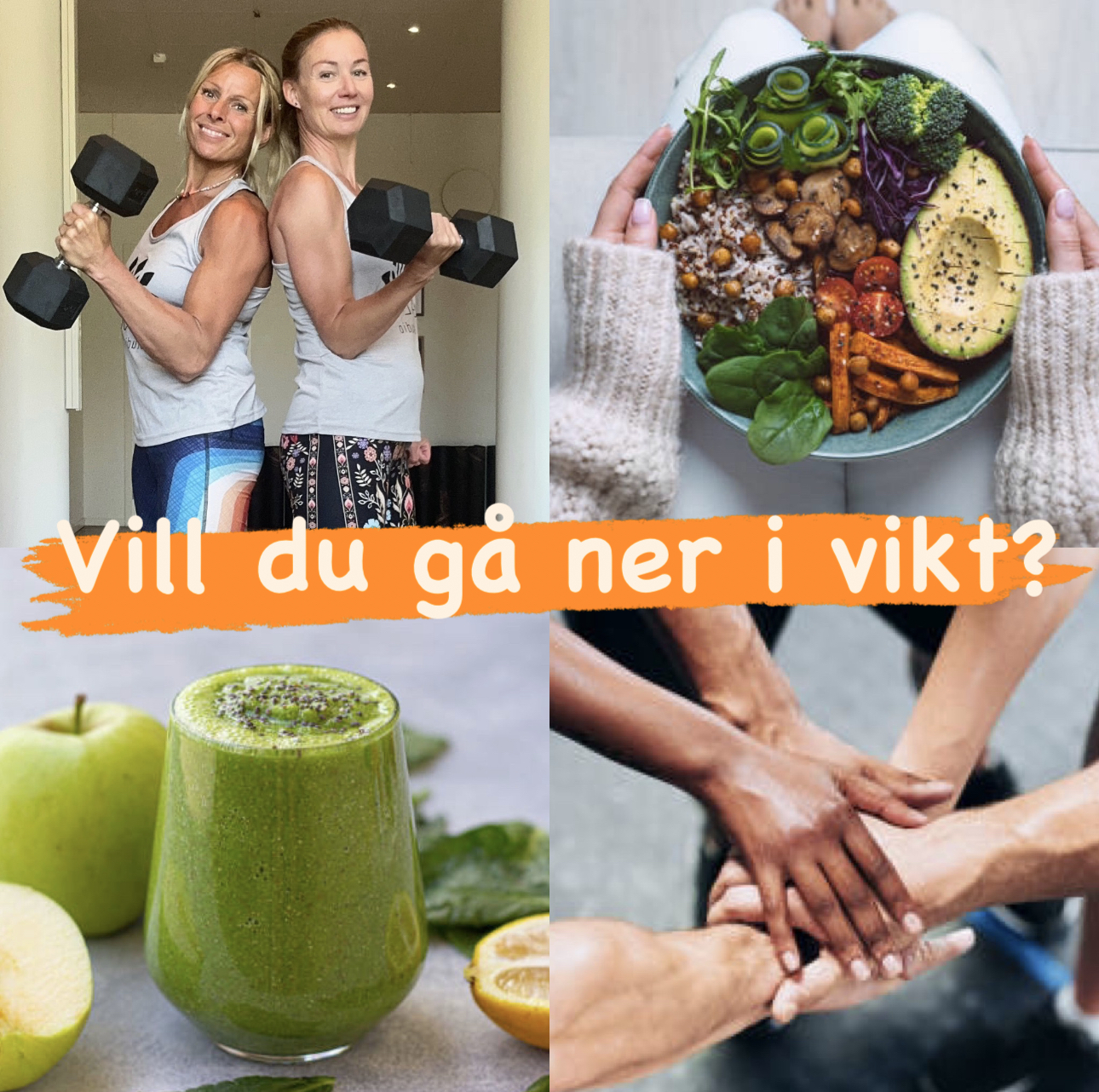 Viktminskning-delbetalning via autogiro