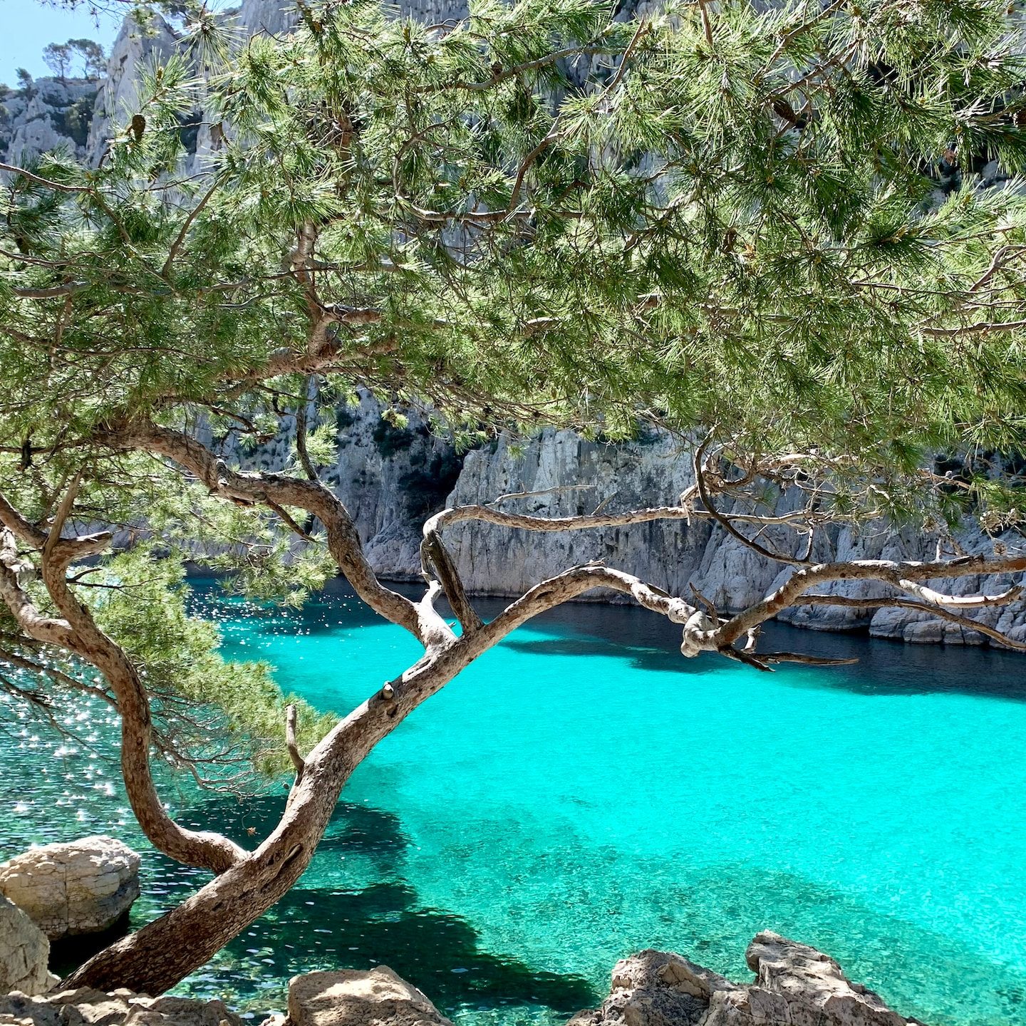 calanques-marseille-1440x1440