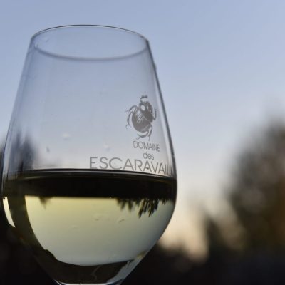 la douce France tips domaine des escaravailles location huren vakantiehuis vakantie woning vacances provence zwembad piscine mollans hameau de la garrigue