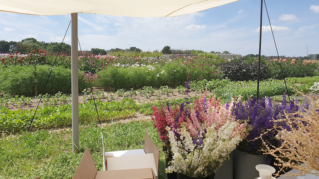Workshop bloemenboeket op Het Polderveld in Westkapelle