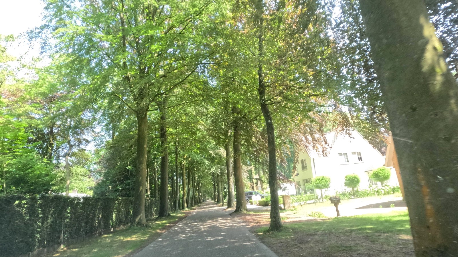 Passagier van 50 sterft bij zware klap tegen een boom in Sint-Kruis