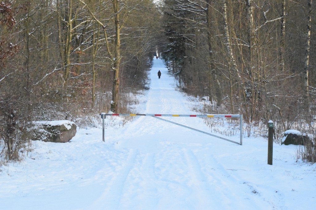 Vinterbild Skånes 20160105 DSC_0366