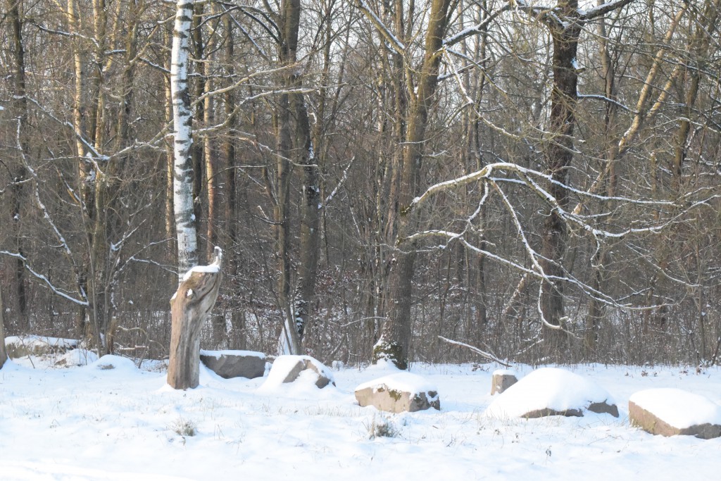 Vinterbild Skånes 20160105 DSC_0376