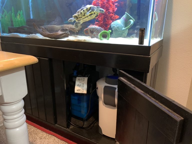 Turtle Tank Filters – Long Live Your Turtle