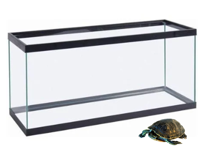 Turtle Tanks – Long Live Your Turtle