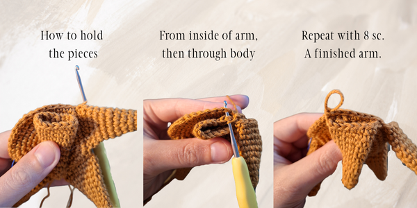 Photo guide to attaching the arms