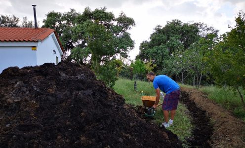 What is permaculture in organic farming?