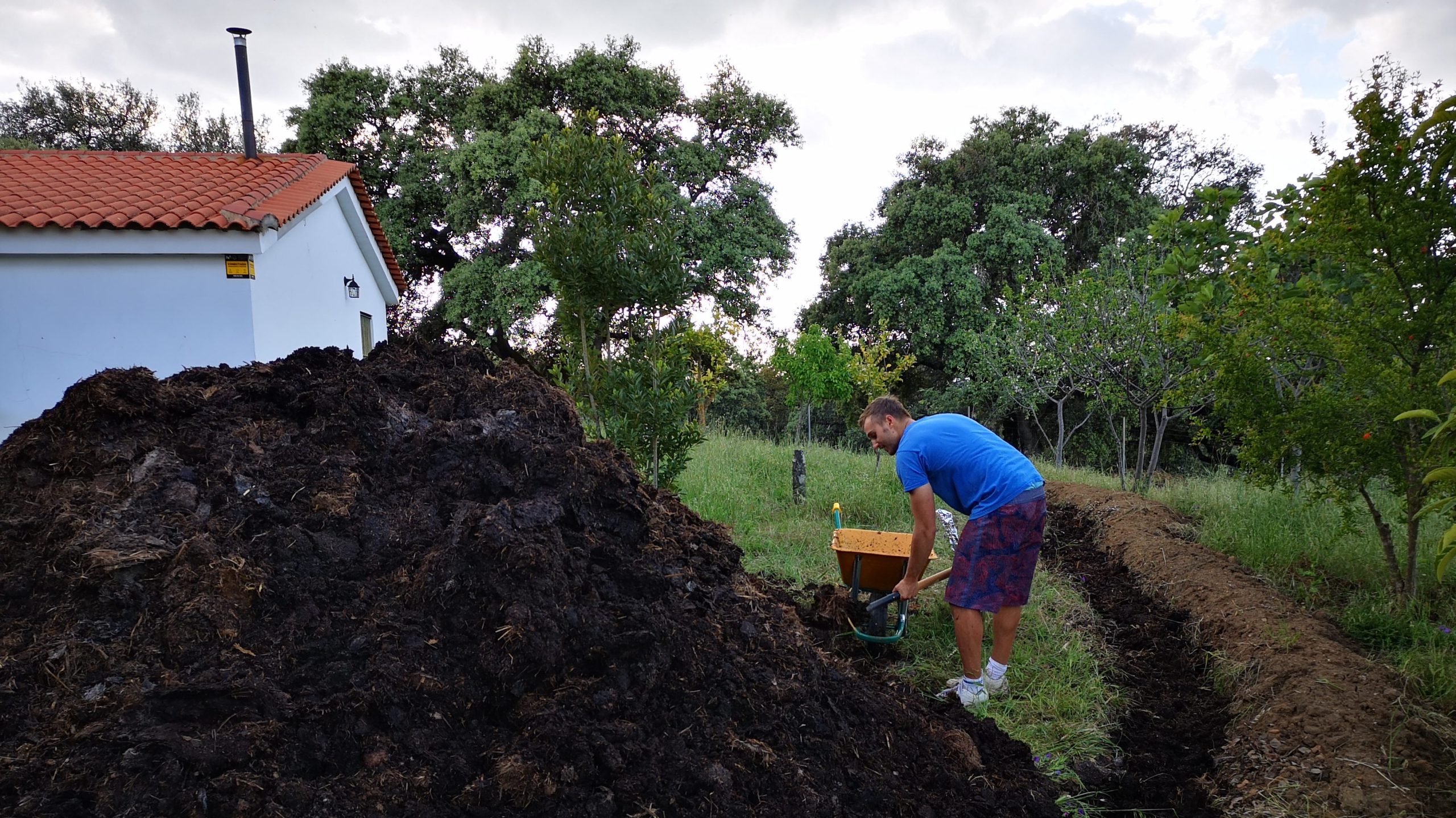 What is permaculture in organic farming?