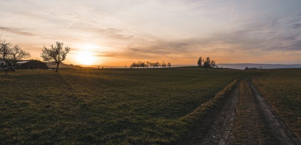 Create Sustainable Life with Polyculture in Permaculture Farming