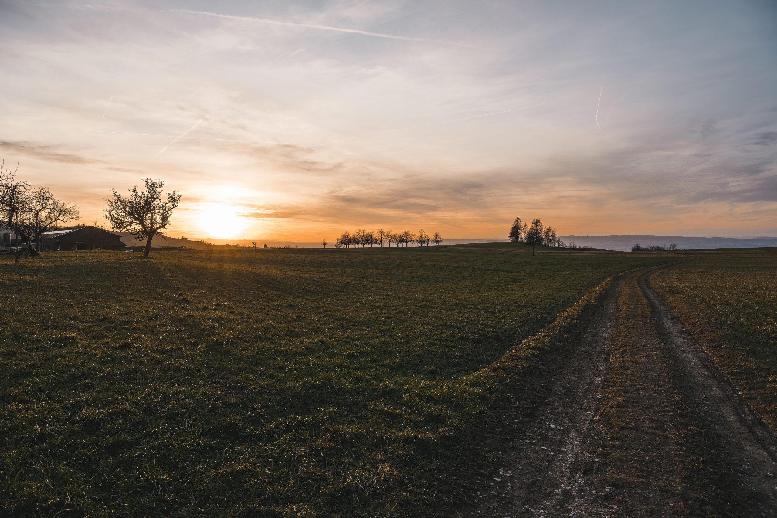 Create Sustainable Life with Polyculture in Permaculture Farming