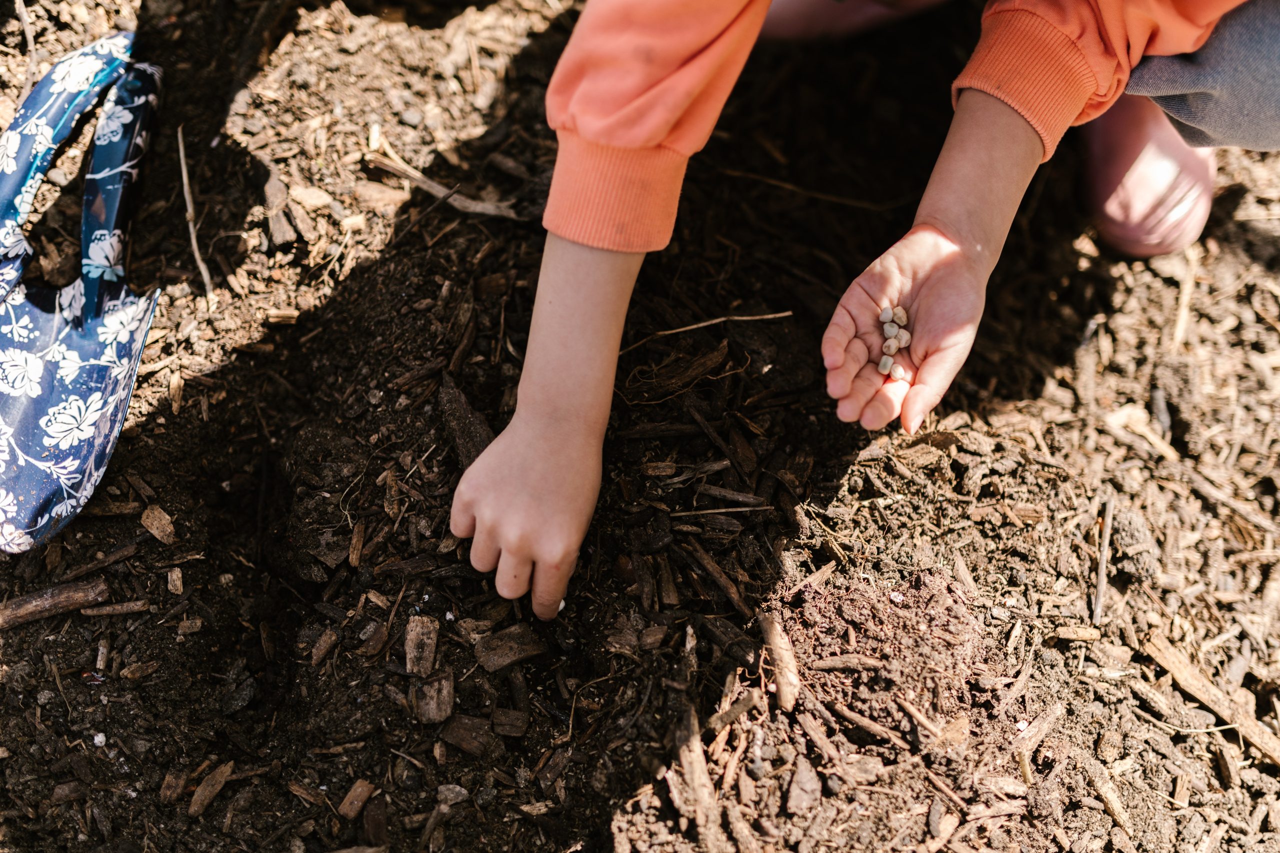 Permaculture in Education: Cultivating Sustainable Minds for a Better Future