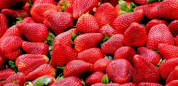 The Sweet and Juicy Benefits of Strawberries: Why You Should Include Them in Your Diet