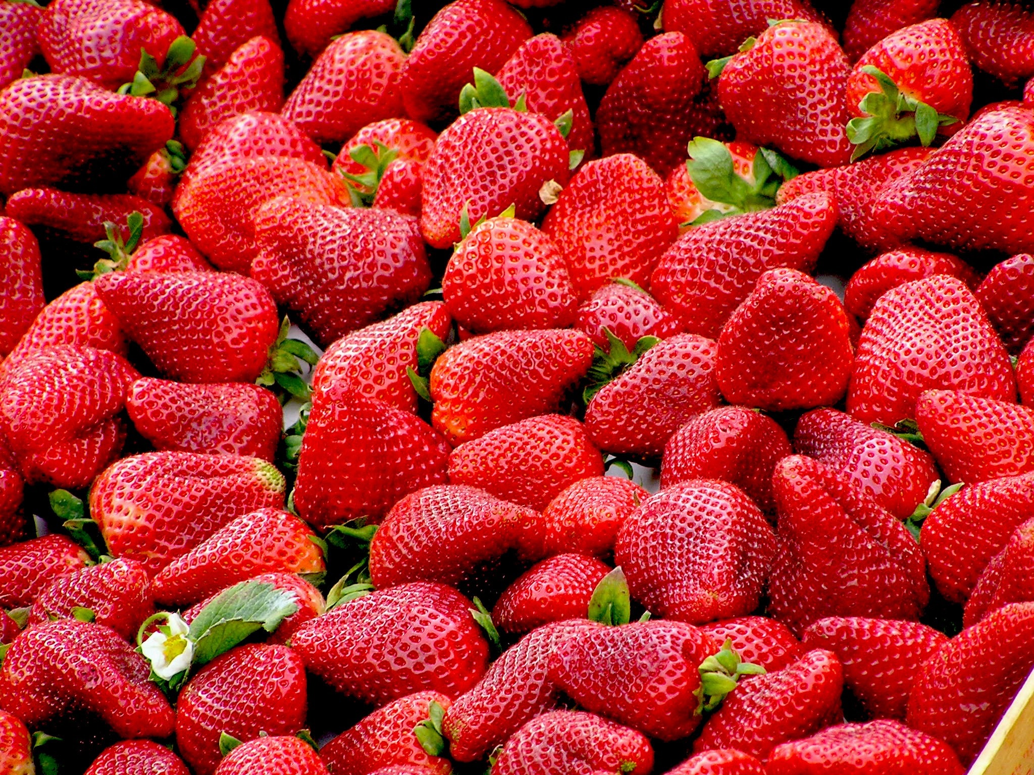 The Sweet and Juicy Benefits of Strawberries: Why You Should Include Them in Your Diet