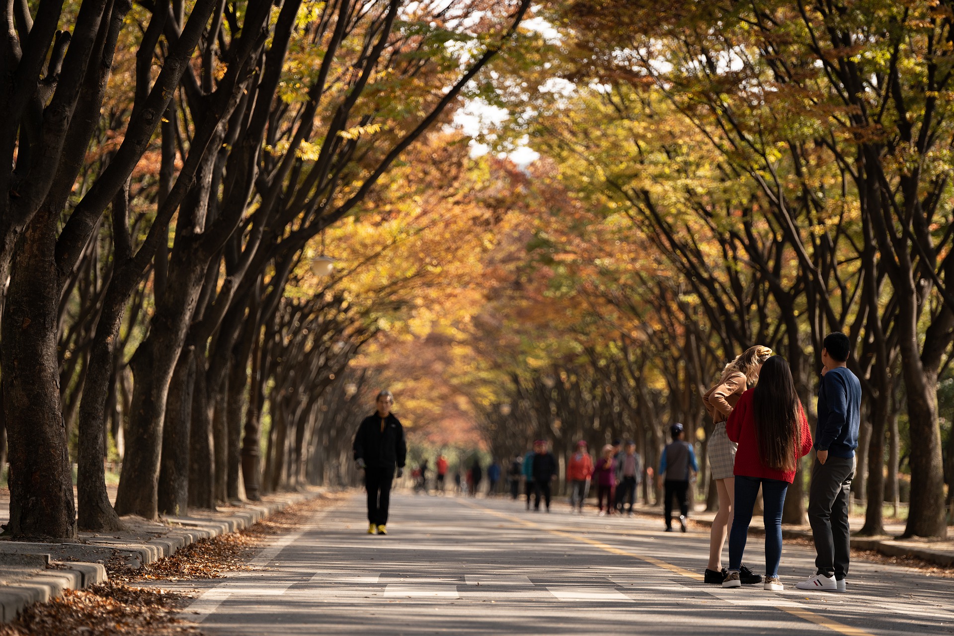 a-public-park-4586700_1920
