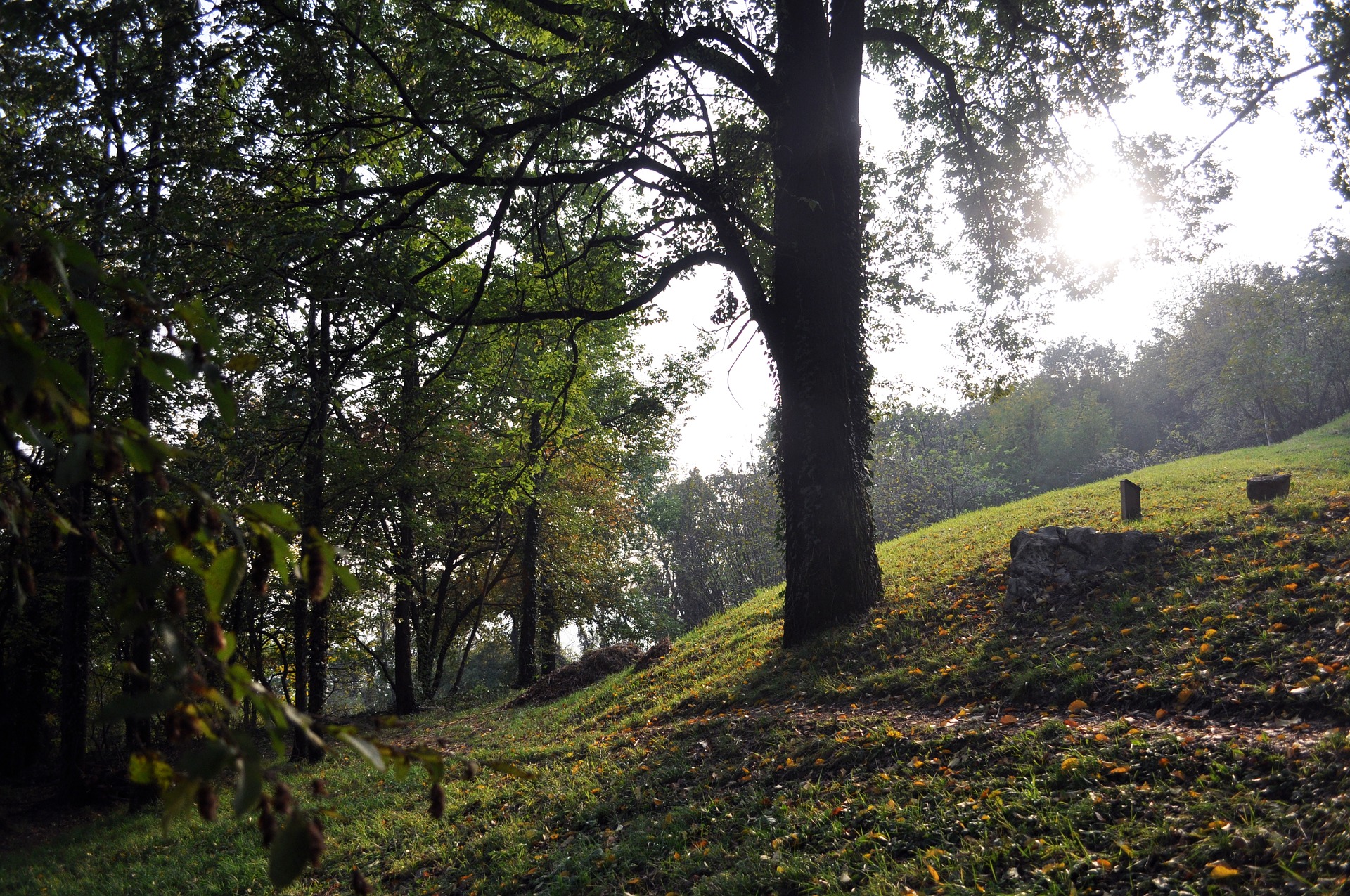 autumn-3752795_1920