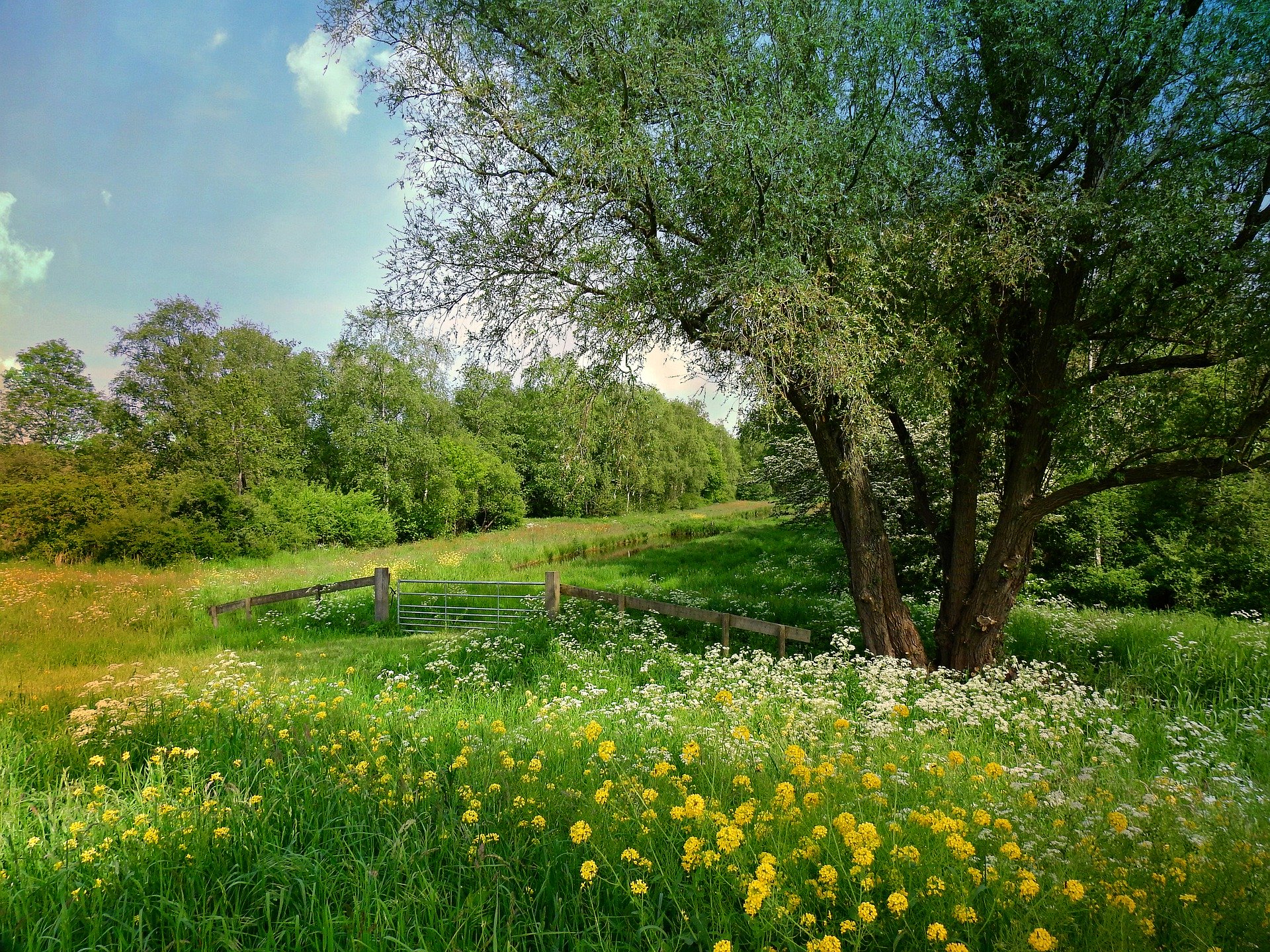 dutch-landscape-5148723_1920