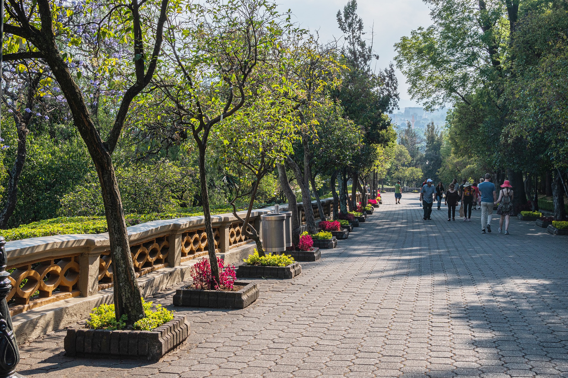 trail-4975320_1920