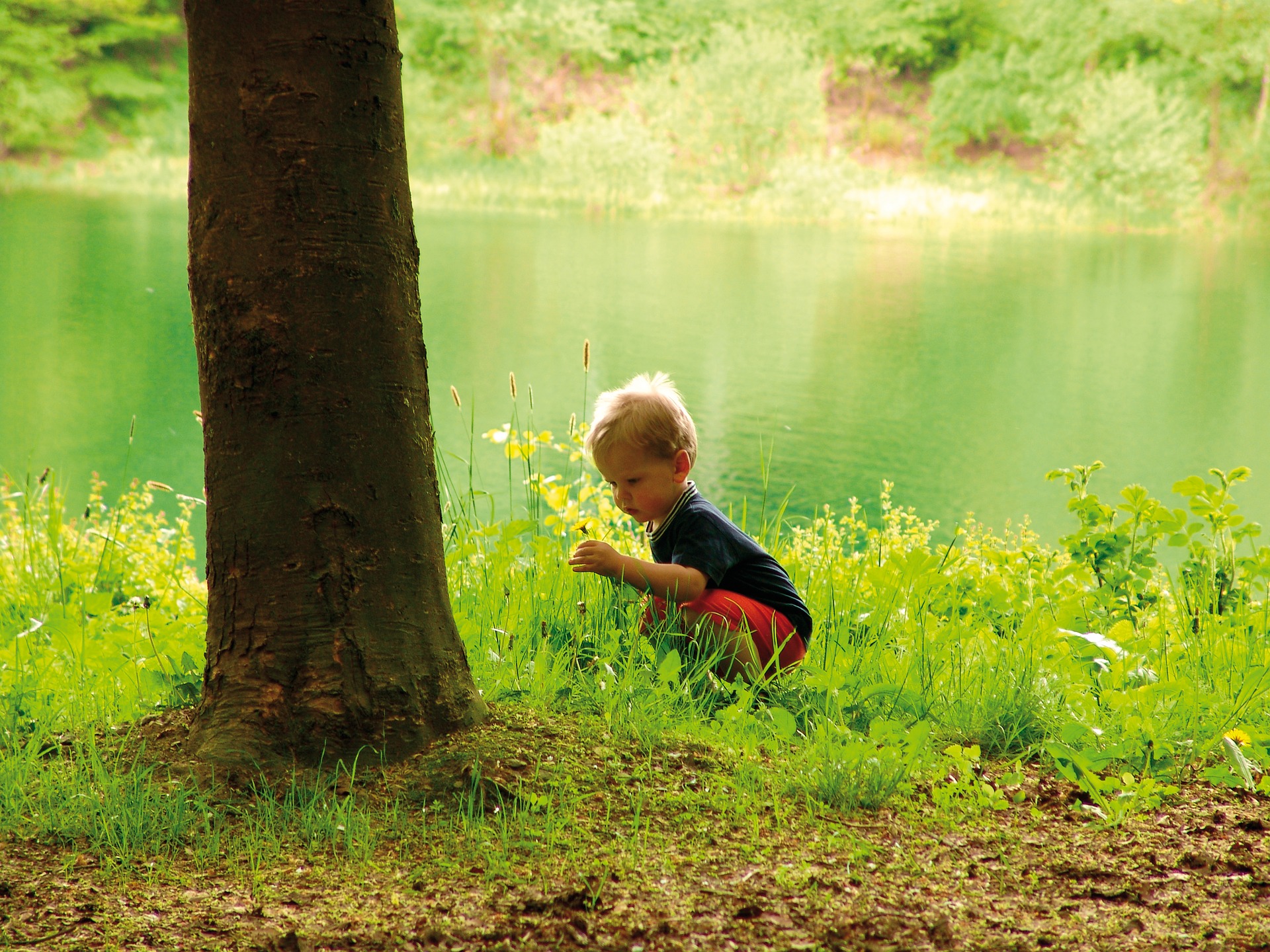 environment-1720108_1920.jpg