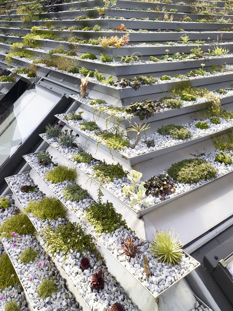 green-roof_040816_04-800x1067