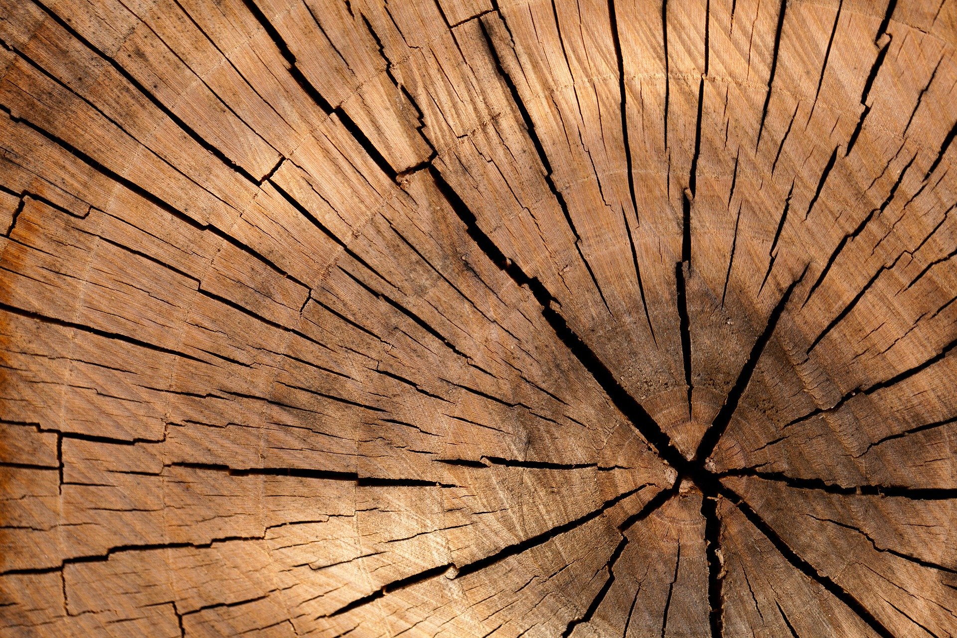 lumber-84678_1920.jpg