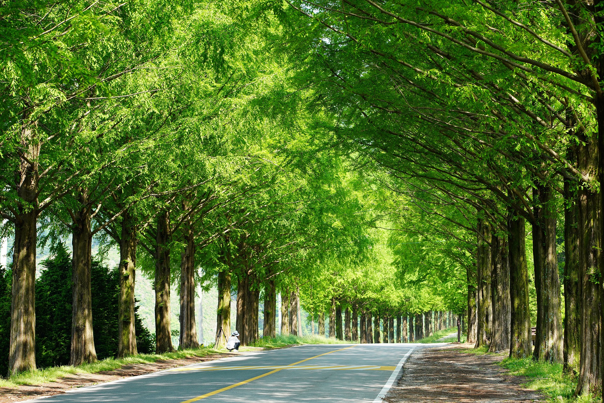 road-5200366_1920.jpg
