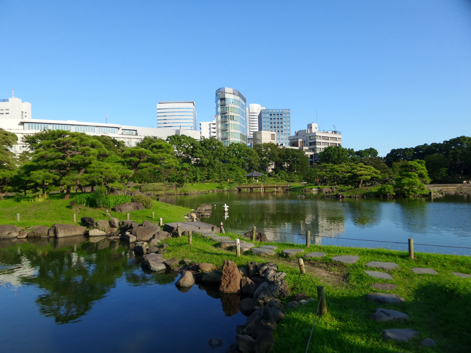 tree-water-sky-skyline-flower-lake-564955-pxhere.com