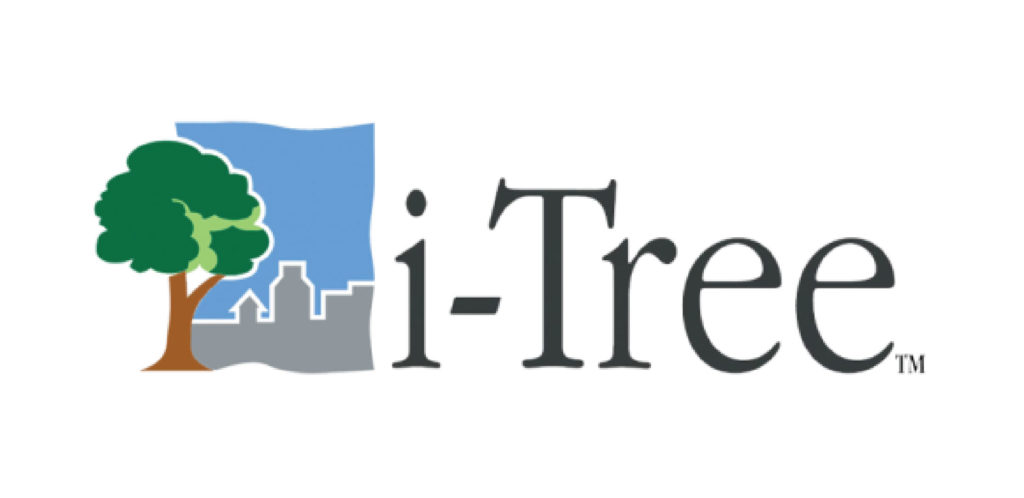 16-i-tree-03-1