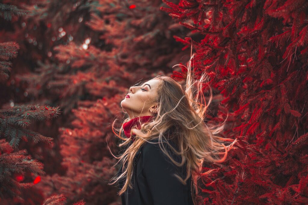 portrait-4599559_1920