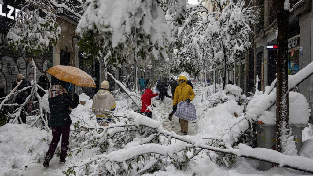 Calle Fuencarral, árboles y parte de la iluminación de navidad no han resistido el peso de la nieve.