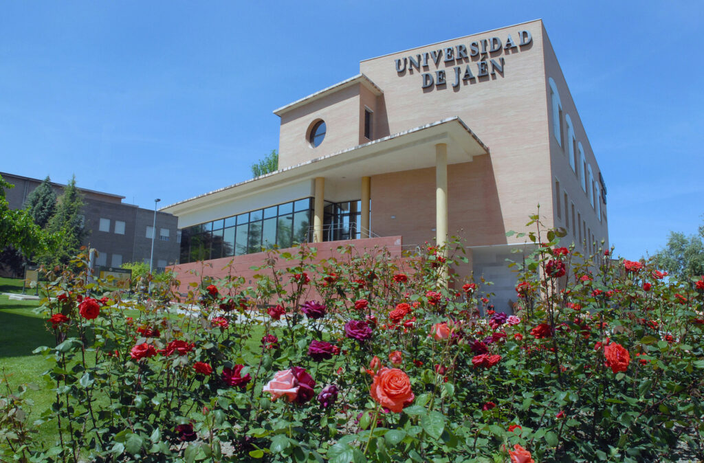 becas-mexico-2020-estudia-en-la-universidad-jaen-españa (1)
