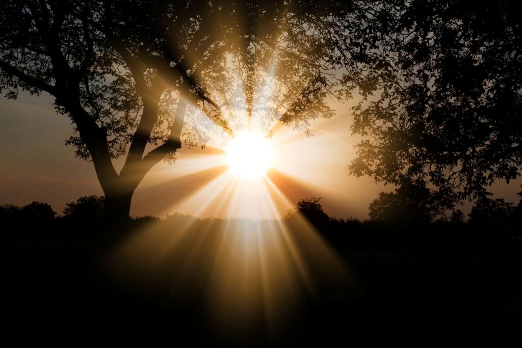 sunlight-3130638_1920