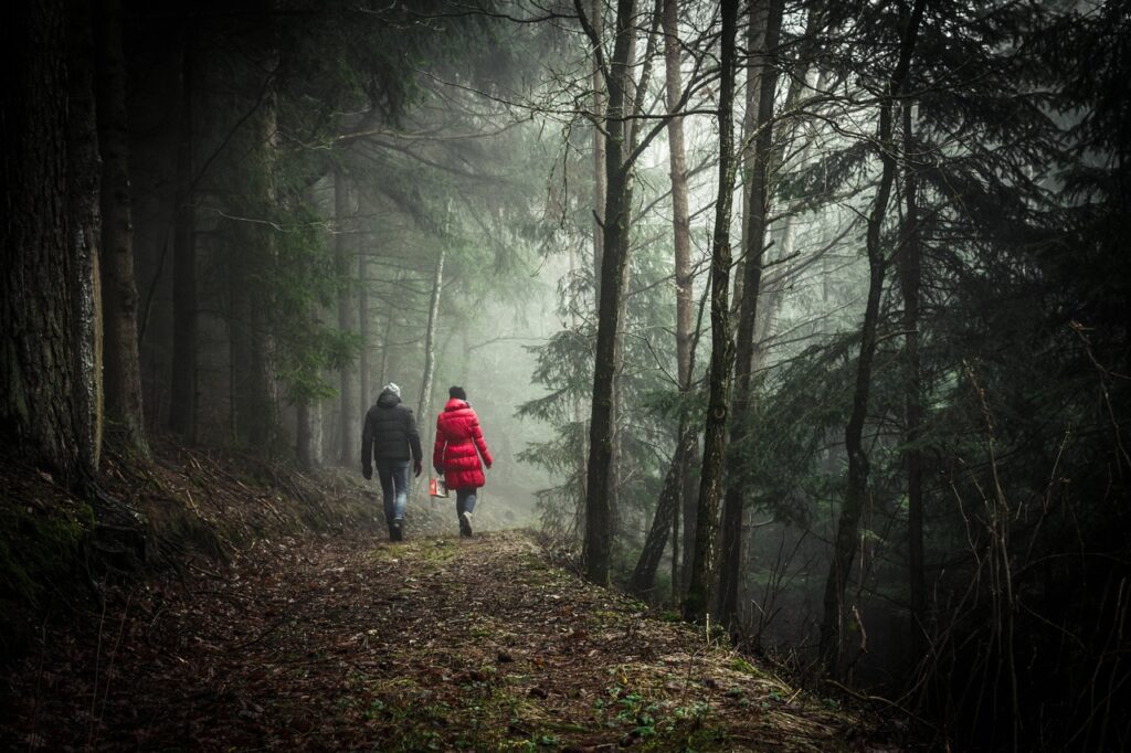 tree-nature-forest-wilderness-walking-wood-825751-pxhere.com