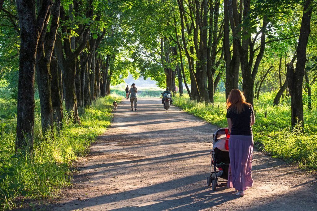 tree-forest-walking-people-track-road-549207-pxhere.com