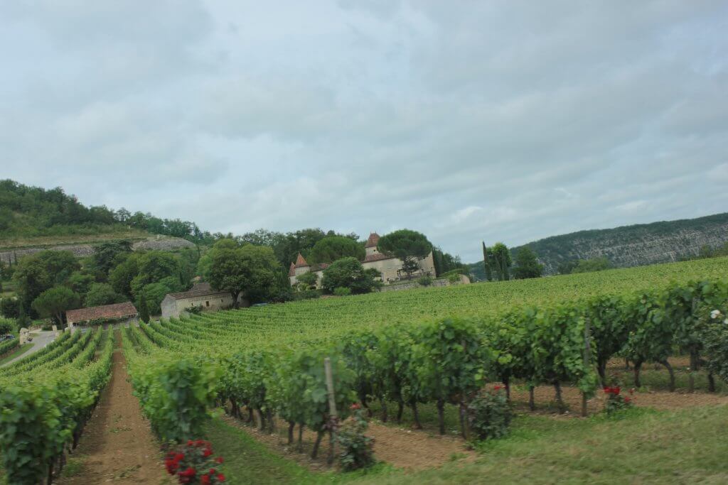 Vineyards