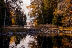 Höstmorgon vid älven