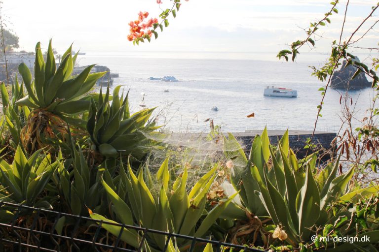 Funchal, Madeira