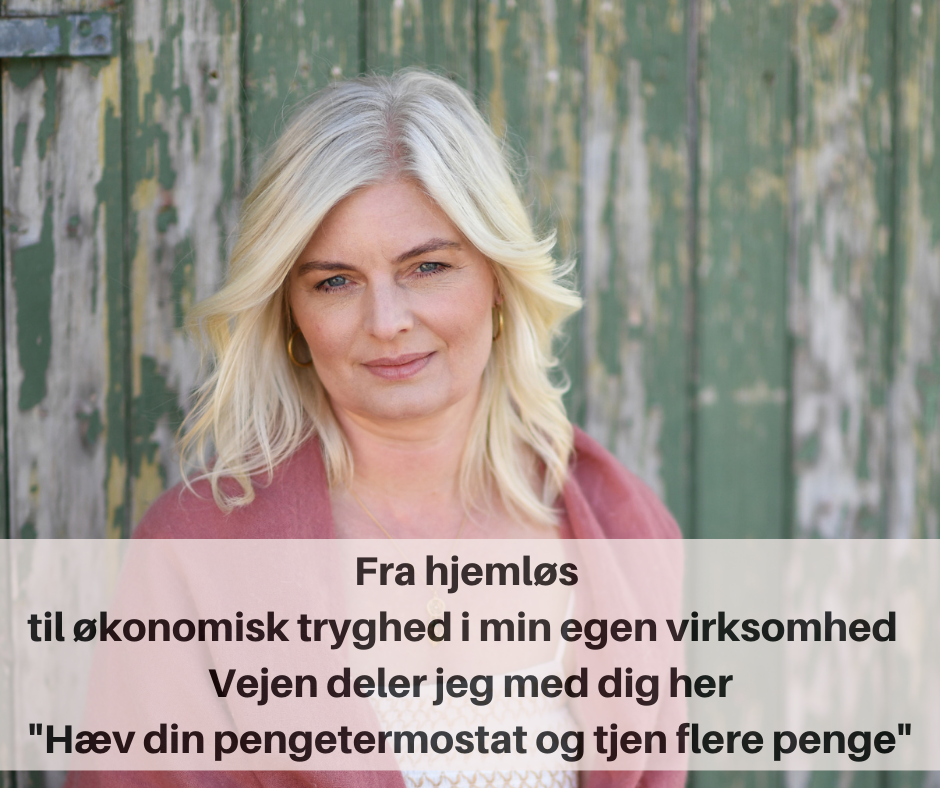 Fra hjemløs til økonomisk tryghed i min egen virksomhed (1) pengetermostat