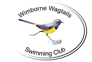 wimborne wagtails