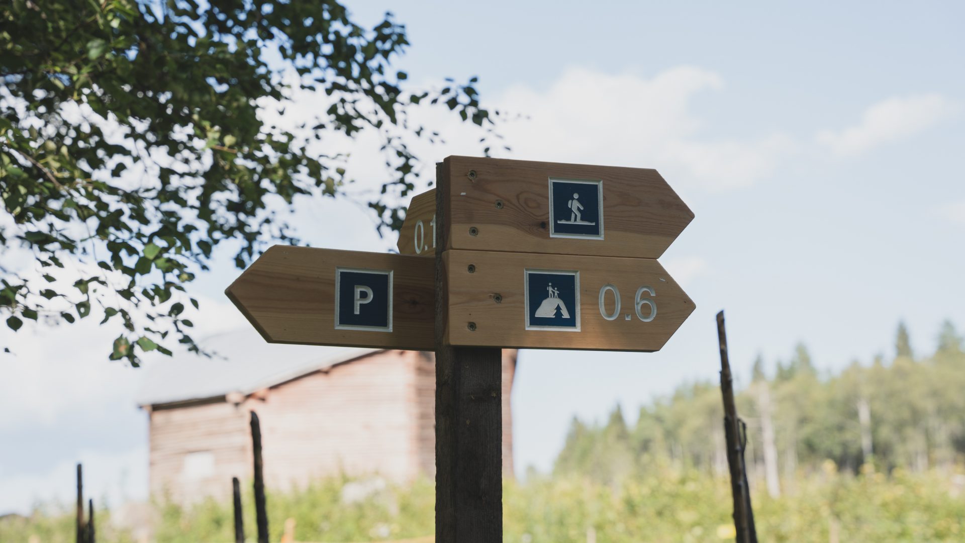 Vandring i Gärdefjärdens Naturreservat