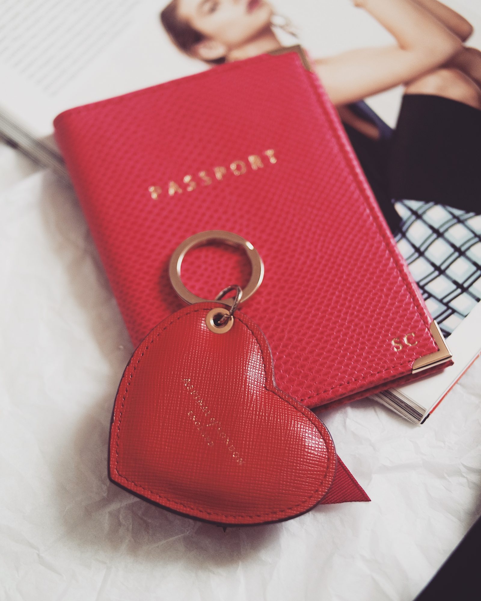Gift guide for her - Aspinal Passport Holder