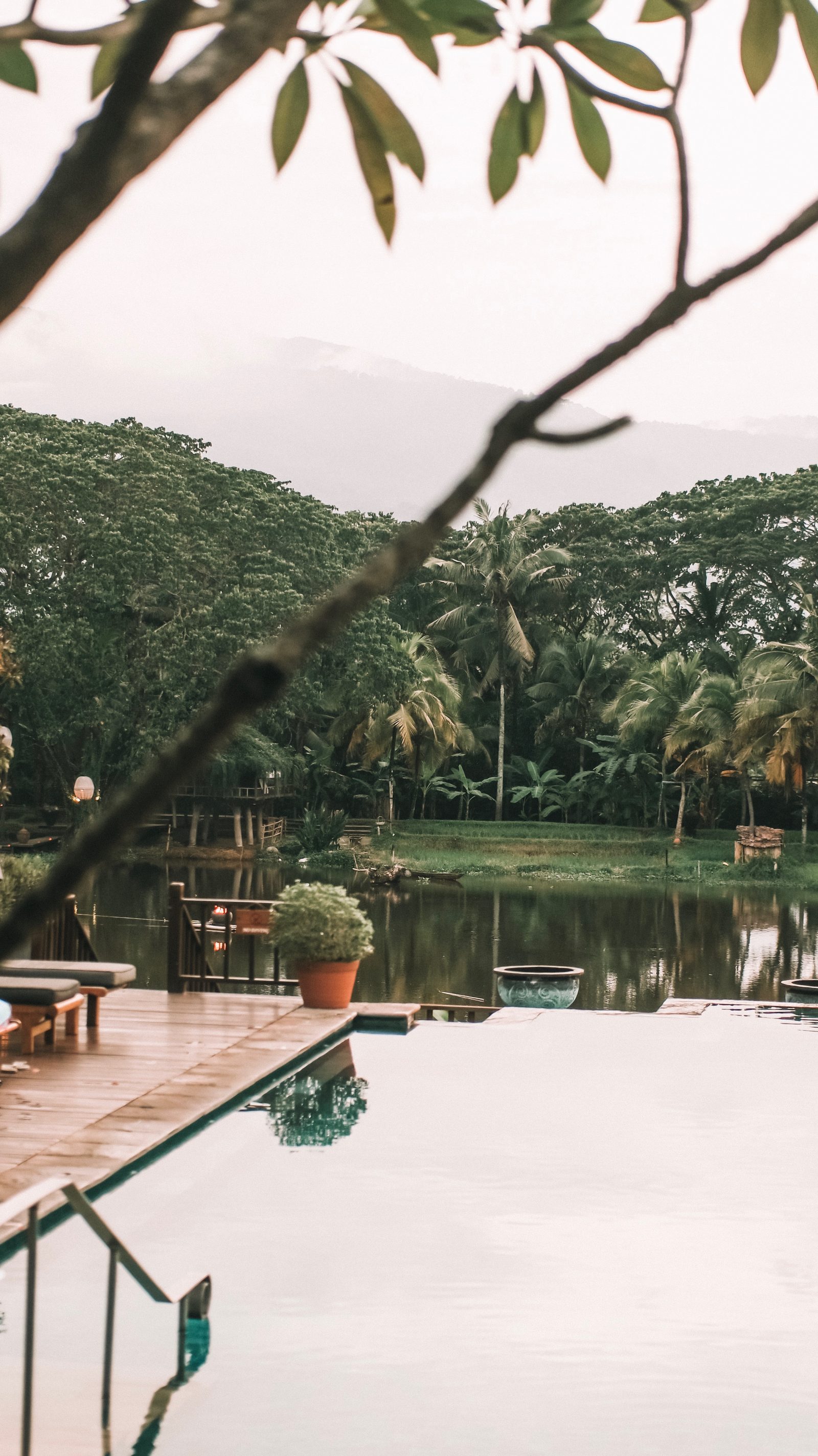 Four Seasons Chiang Mai - Infinity Pool