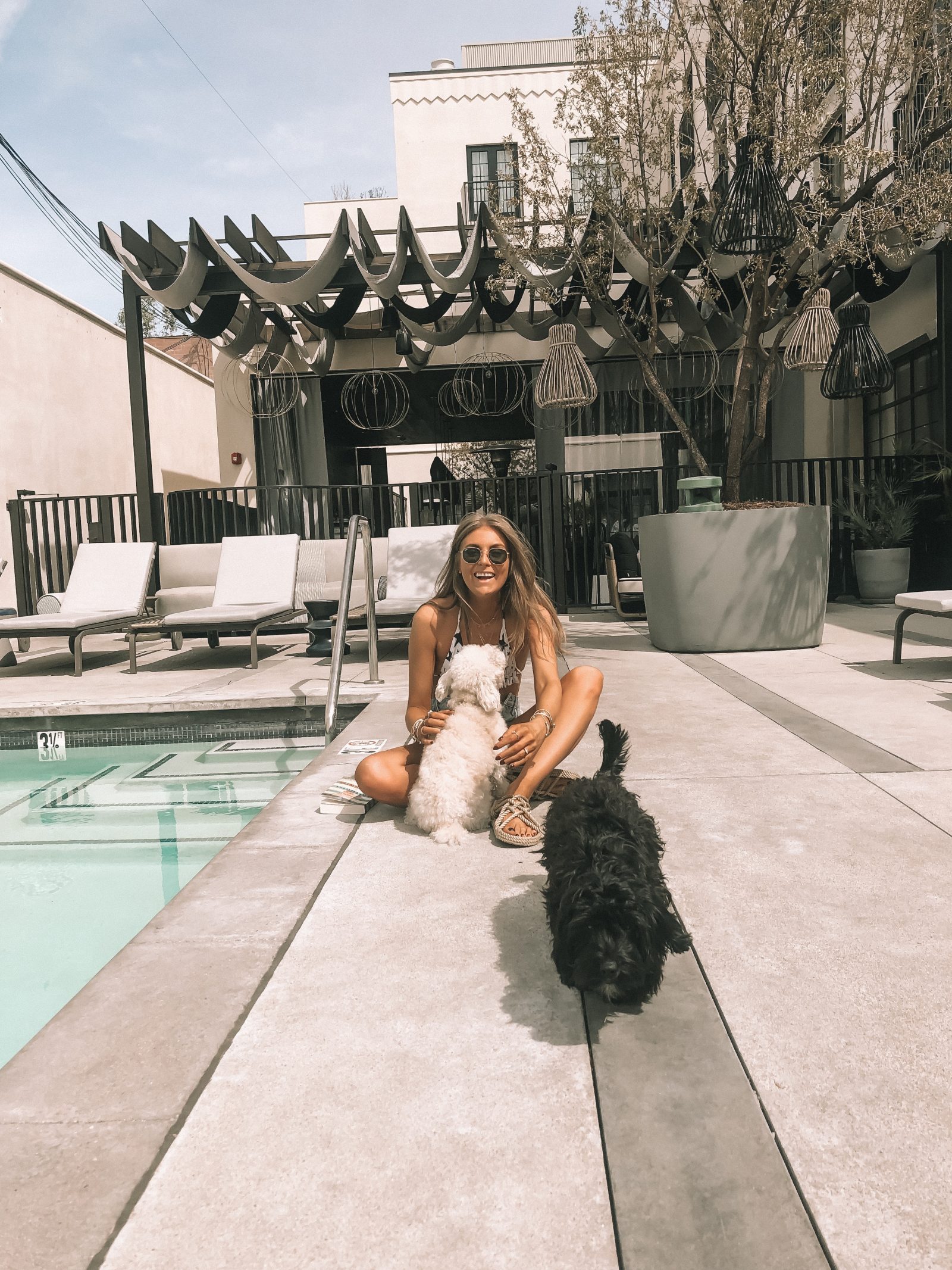 Playng with Puppies by the pool area at Kimpton La Peer in West Hollywood, Los Angeles