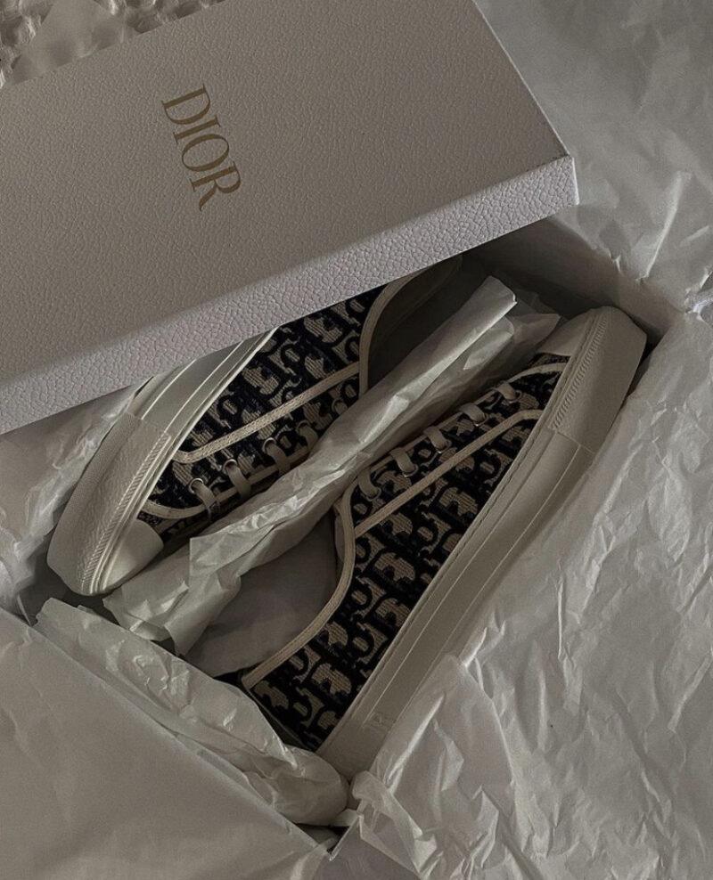 WALK’ N’DIOR Dior Sneakers Review – Love Style Mindfulness – Fashion ...