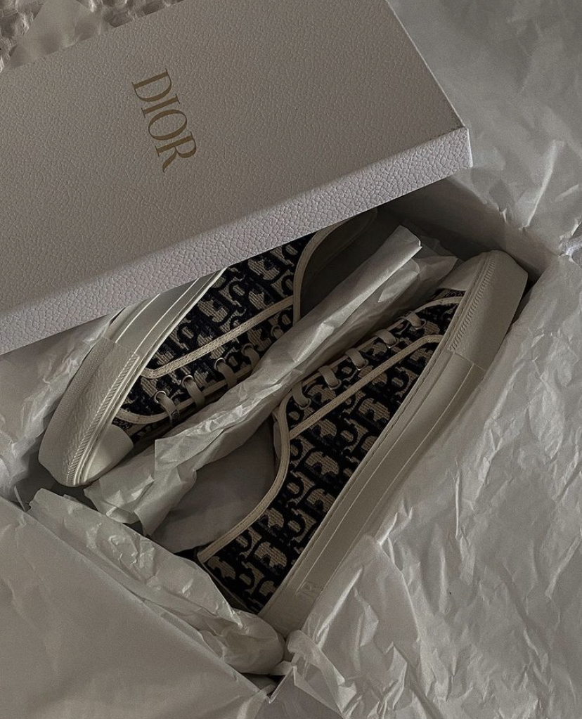 WALK' N'DIOR Dior Sneakers Review – Love Style Mindfulness – Fashion u0026  Personal Style Blog