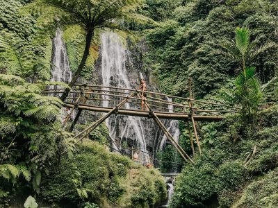 north-bali-highland-jungle north-bali-highland-jungle